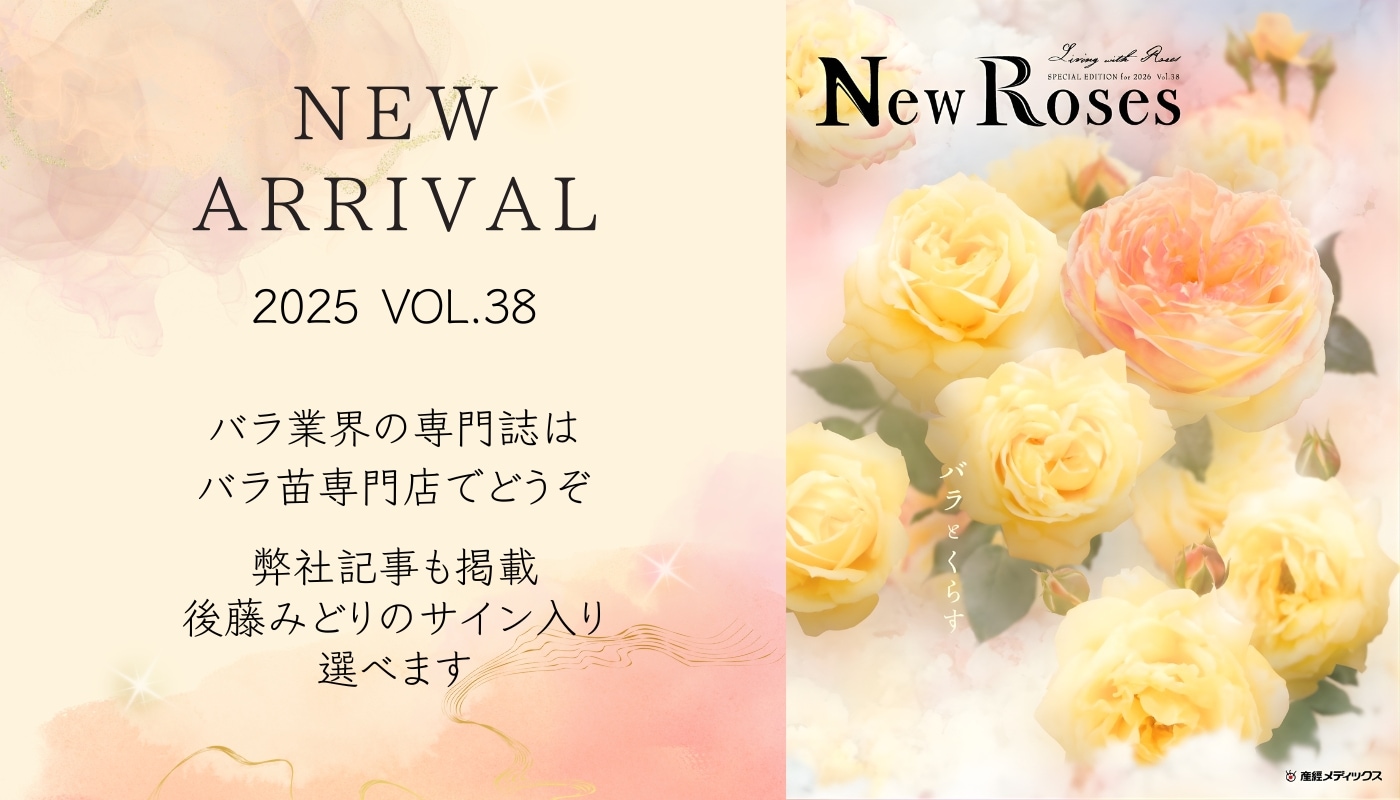 New Roses